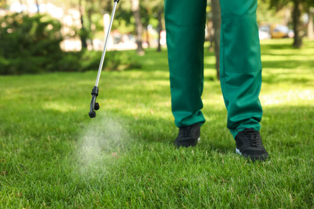 Best Local Pest Control Services  in Trevose, PA
