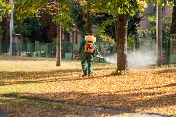Best Mosquito Control Services  in Trevose, PA