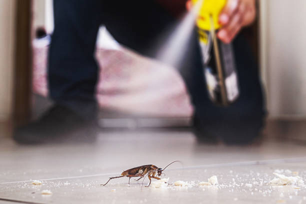 Reliable Trevose, PA Pest Control Solutions