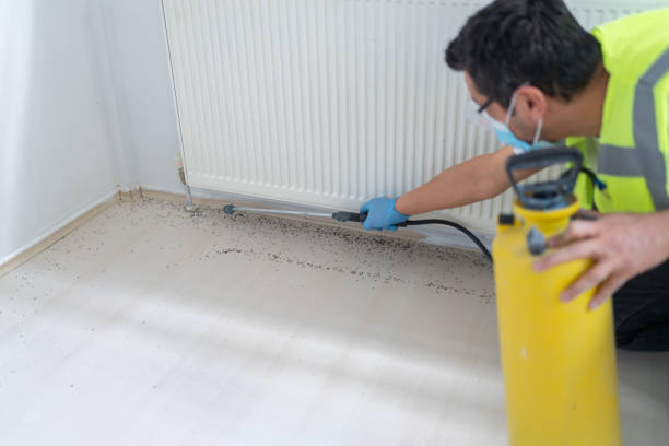 Best Cockroach Control Services  in Trevose, PA